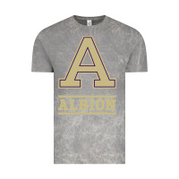 Cloud Rock albion college athleticpurple Vintage Tee - linhVisuals