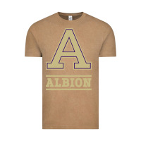 Vintage Coffee albion college athleticpurple Vintage Tee - linhVisuals