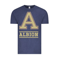 Vintage Denim albion college athleticpurple Vintage Tee - linhVisuals