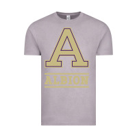 Vintage Zinc albion college athleticpurple Vintage Tee - linhVisuals
