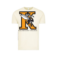 Vintage Arctic kalamazoo college vectorized Vintage Tee - linhVisuals