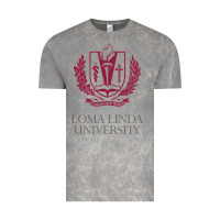 Cloud Rock education of loma linda Vintage Tee - linhVisuals