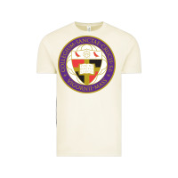Vintage Arctic college of the holy cross Vintage Tee - linhVisuals