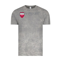 Cloud Rock albright college vectorized Vintage Tee - linhVisuals