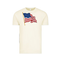 Vintage Arctic American flag Vintage Tee - linhVisuals