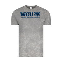 Cloud Rock w governors, education, wgu Vintage Tee - linhVisuals