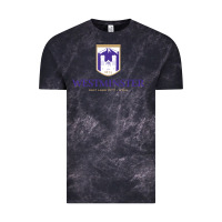 Cloud Black westminster, sudies in utah Vintage Tee - linhVisuals