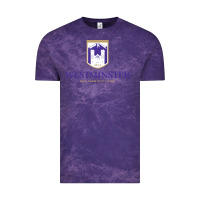 Cloud Purple westminster, sudies in utah Vintage Tee - linhVisuals