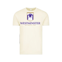 Vintage Arctic westminster, sudies in utah Vintage Tee - linhVisuals