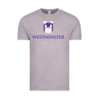 Vintage Zinc westminster, sudies in utah Vintage Tee - linhVisuals