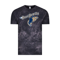 Tri City Dust Baseball Vintage Tee | Teevron