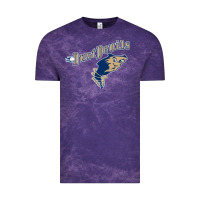 Cloud Purple tri city dust baseball Vintage Tee - linhVisuals