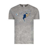 Cloud Rock tri city dust baseball Vintage Tee - linhVisuals
