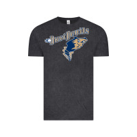 Vintage Black tri city dust baseball Vintage Tee - linhVisuals