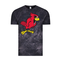 Cloud Black illinois state redbirds Vintage Tee - linhVisuals