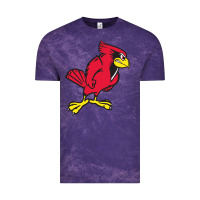 Cloud Purple illinois state redbirds Vintage Tee - linhVisuals