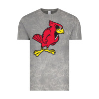 Cloud Rock illinois state redbirds Vintage Tee - linhVisuals