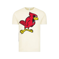 Vintage Arctic illinois state redbirds Vintage Tee - linhVisuals