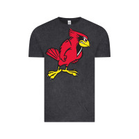 Vintage Black illinois state redbirds Vintage Tee - linhVisuals