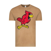 Vintage Camel illinois state redbirds Vintage Tee - linhVisuals