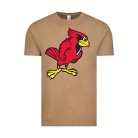 Illinois State Redbirds Vintage Tee | Teevron