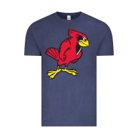 Vintage Denim illinois state redbirds Vintage Tee - linhVisuals