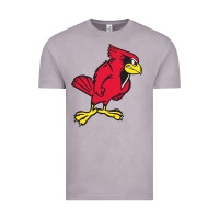 Vintage Zinc illinois state redbirds Vintage Tee - linhVisuals