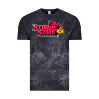 Cloud Black illinois state redbirds Vintage Tee - linhVisuals