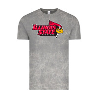 Cloud Rock illinois state redbirds Vintage Tee - linhVisuals