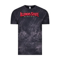 Cloud Black illinois state redbirds Vintage Tee - linhVisuals
