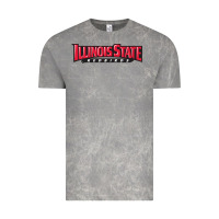 Cloud Rock illinois state redbirds Vintage Tee - linhVisuals