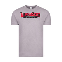 Vintage Zinc illinois state redbirds Vintage Tee - linhVisuals