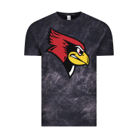 Cloud Black illinois state redbirds Vintage Tee - linhVisuals