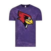 Cloud Purple illinois state redbirds Vintage Tee - linhVisuals
