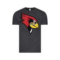 Vintage Black illinois state redbirds Vintage Tee - linhVisuals