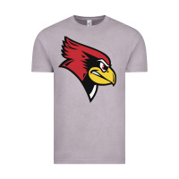 Vintage Zinc illinois state redbirds Vintage Tee - linhVisuals