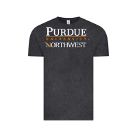 Purdue University Northwest Vintage Tee | Teevron
