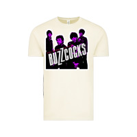 Vintage Arctic Buzzcocks Ever Fallen In Love With Someone You Shouldn't've Vintage Tee - linhVisuals