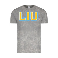Cloud Rock long island university sharks Vintage Tee - linhVisuals