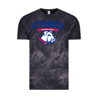 Cloud Black st. francis brooklyn terriers Vintage Tee - linhVisuals