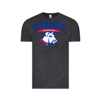 Vintage Black st. francis brooklyn terriers Vintage Tee - linhVisuals