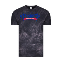 Cloud Black st. francis brooklyn terriers Vintage Tee - linhVisuals