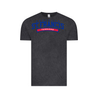 Vintage Black st. francis brooklyn terriers Vintage Tee - linhVisuals