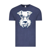 St. Francis Brooklyn Terriers Vintage Tee | Teevron