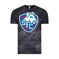 St. Francis Brooklyn Terriers Vintage Tee | Teevron