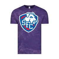 Cloud Purple st. francis brooklyn terriers Vintage Tee - linhVisuals