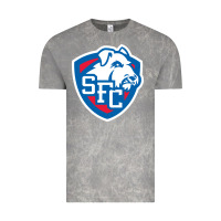 Cloud Rock st. francis brooklyn terriers Vintage Tee - linhVisuals