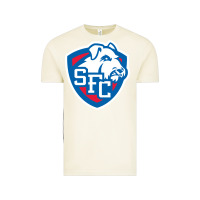 Vintage Arctic st. francis brooklyn terriers Vintage Tee - linhVisuals