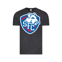 Vintage Black st. francis brooklyn terriers Vintage Tee - linhVisuals