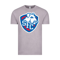Vintage Zinc st. francis brooklyn terriers Vintage Tee - linhVisuals